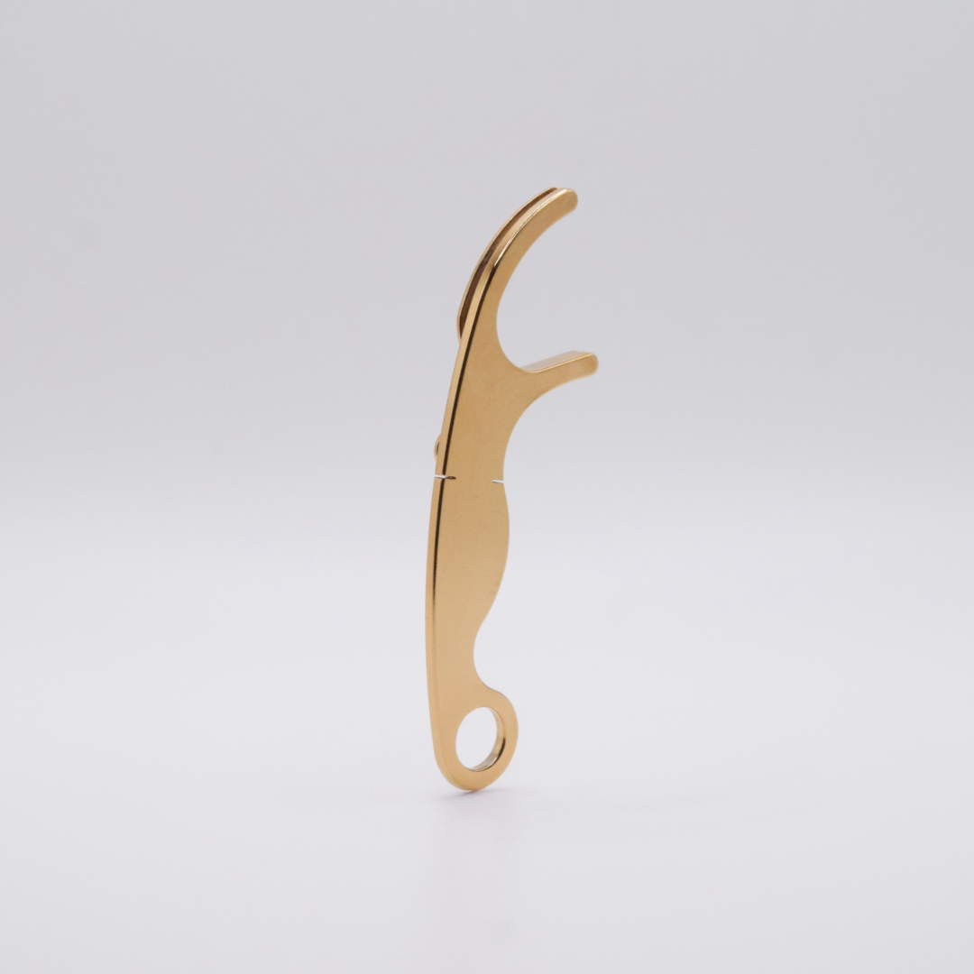 Reusable Dental Floss Holder, Gold TiN Coated Stainless Steel