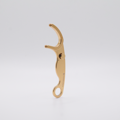 Reusable Dental Floss Holder, Gold TiN Coated Stainless Steel